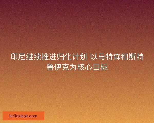 印尼继续推进归化计划 以马特森和斯特鲁伊克为核心目标