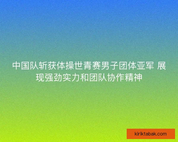 中国队斩获体操世青赛男子团体亚军 展现强劲实力和团队协作精神